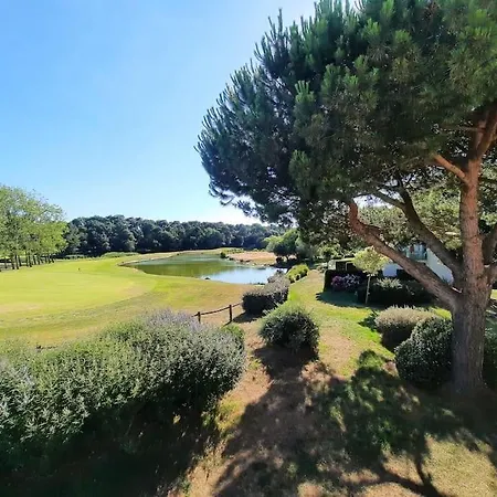 Apartament Sas Vac *