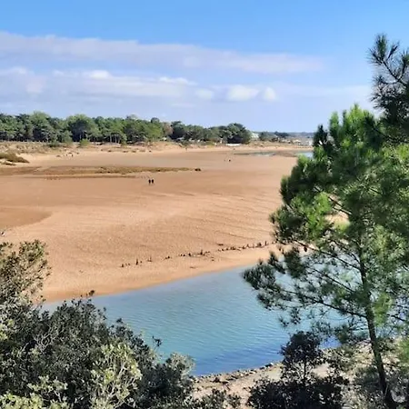 Sas Vac * Talmont-Saint-Hilaire