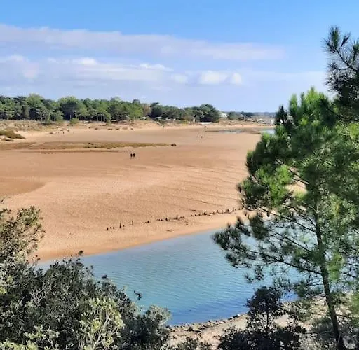 Sas Vac * Talmont-Saint-Hilaire